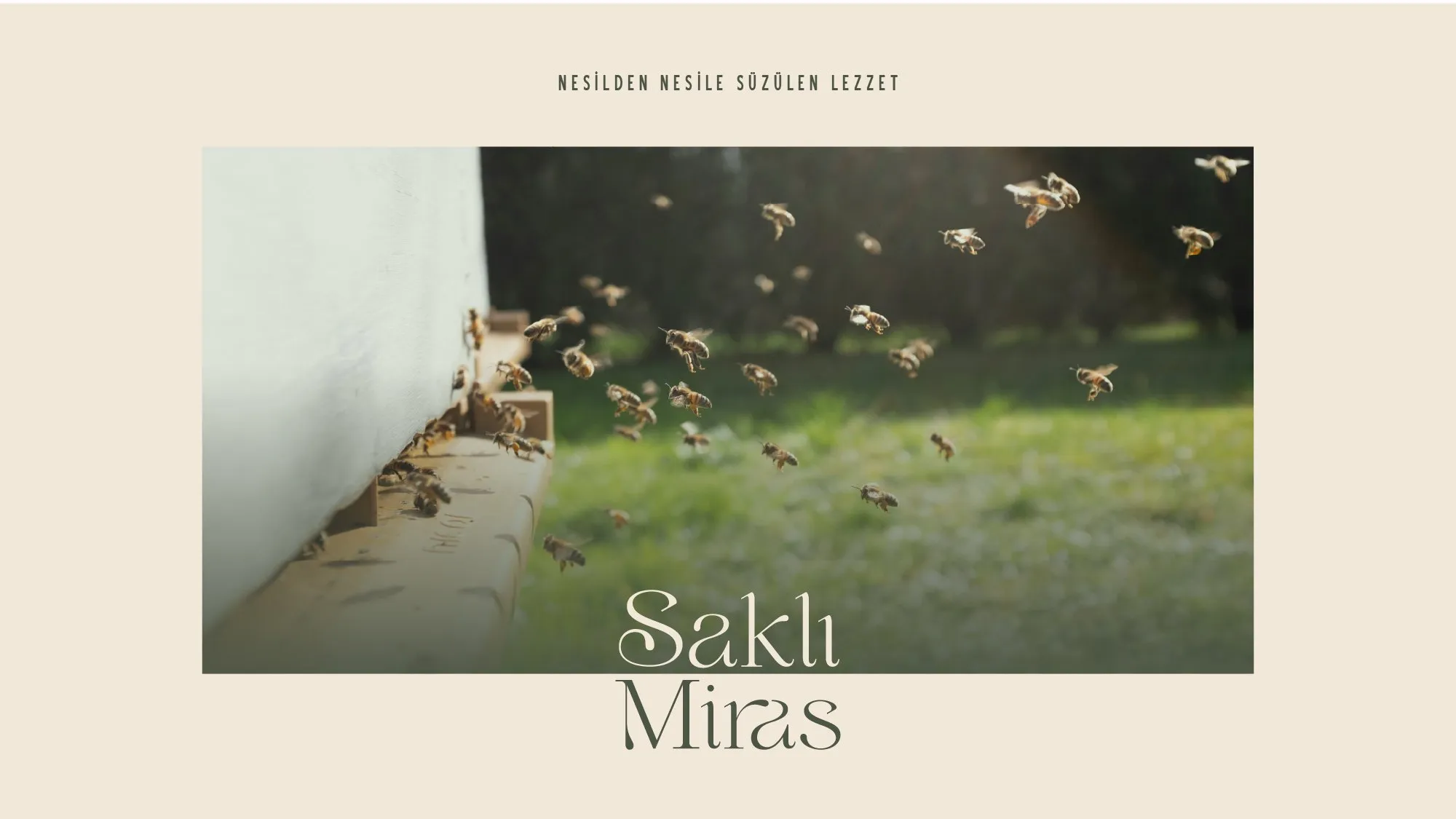 Saklı Miras brand identity, image 7