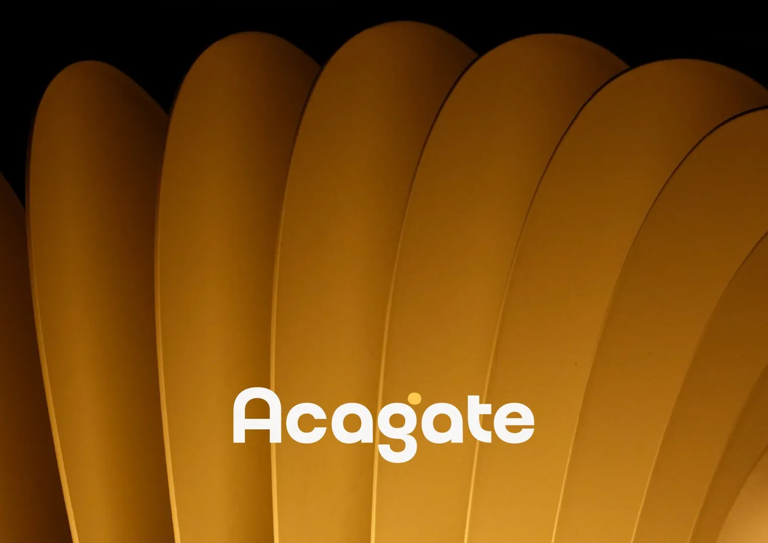 Acagate brand identity